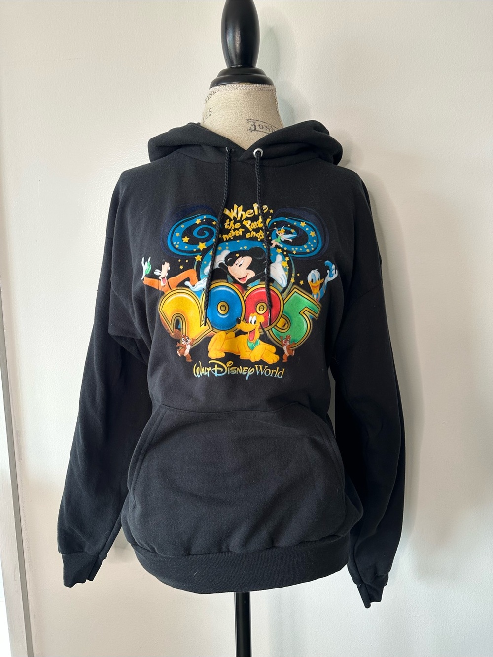 Vintage Disney Black Hoodie with Colorful 2005 Walt Disney World Graphic